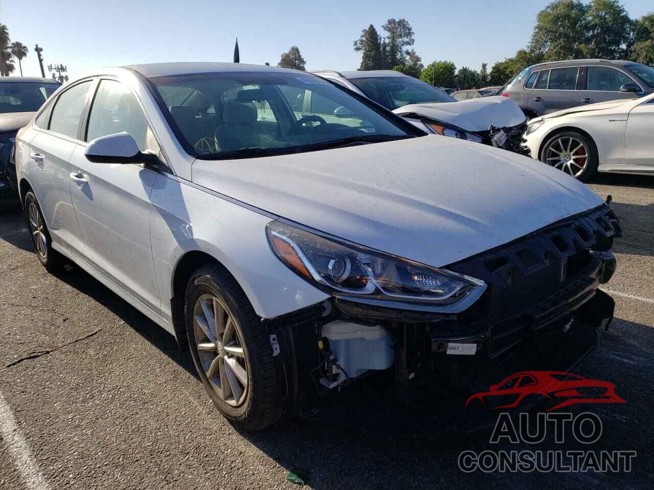 HYUNDAI SONATA 2019 - 5NPE24AF5KH801314