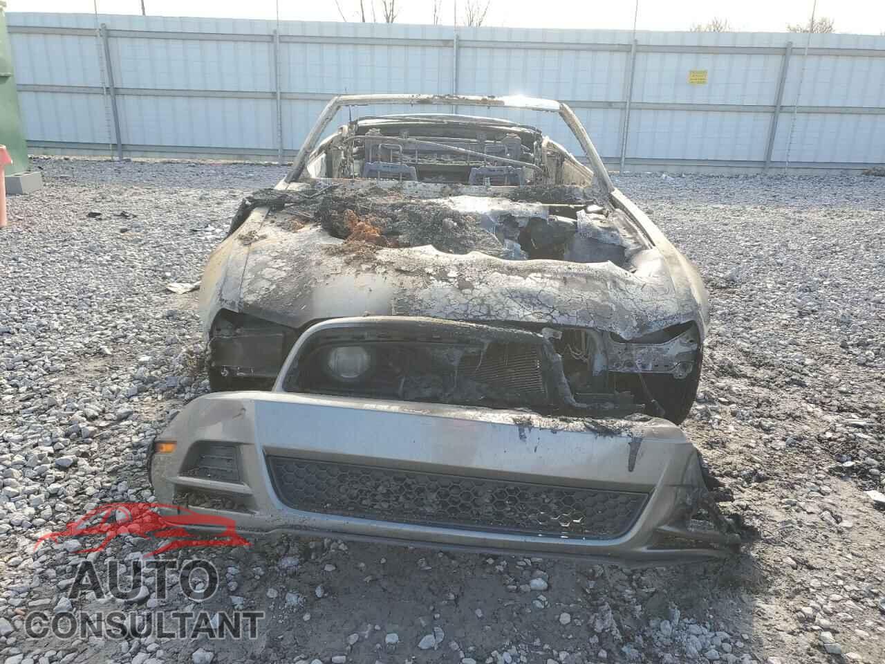 FORD MUSTANG 2014 - 1ZVBP8FFXE5218761