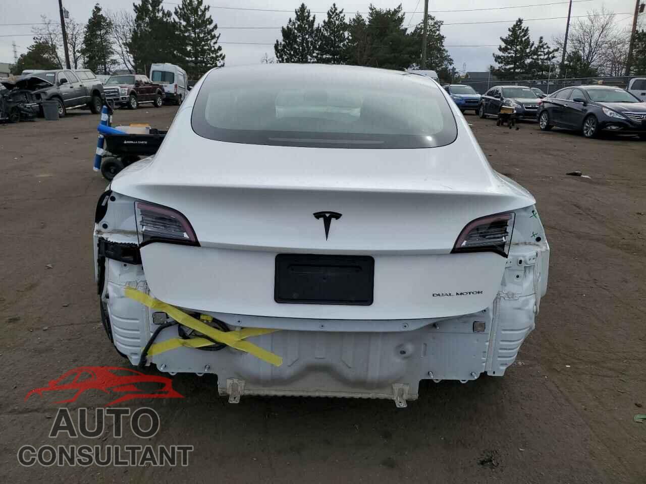 TESLA MODEL 3 2020 - 5YJ3E1EB5LF621237