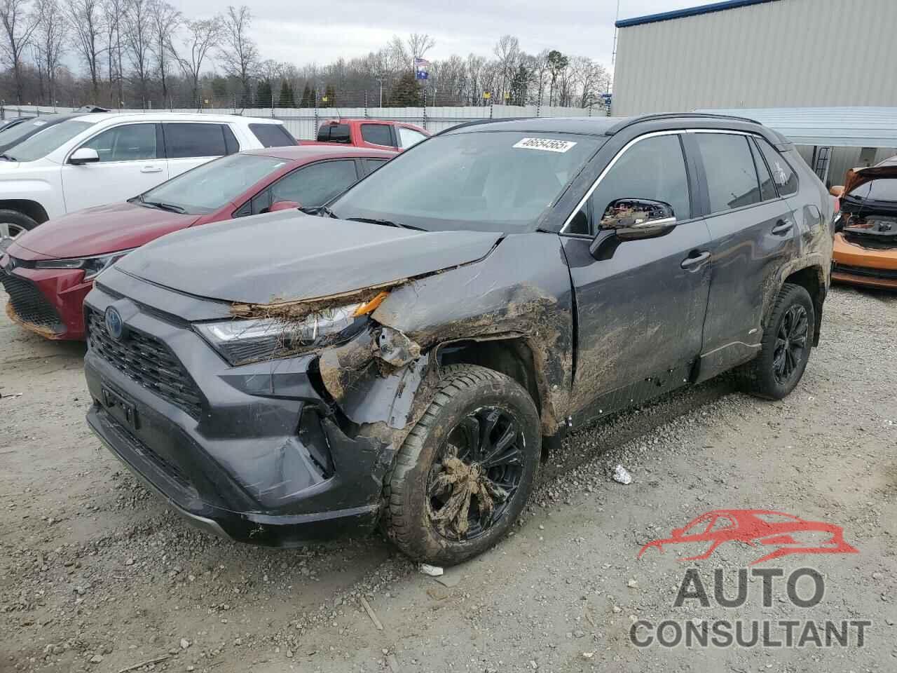 TOYOTA RAV4 2024 - 2T3E6RFVXRW067161