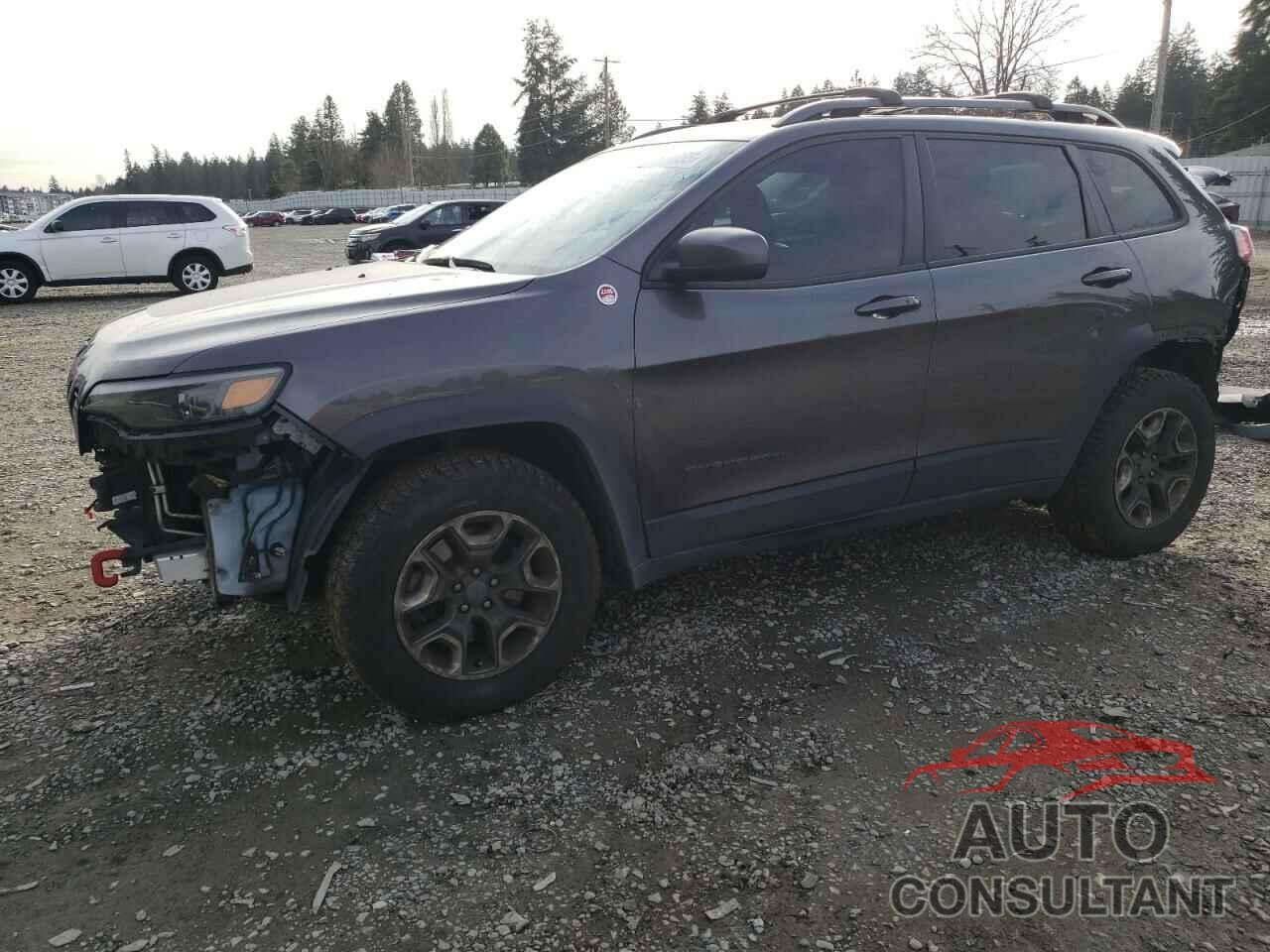 JEEP CHEROKEE 2019 - 1C4PJMBX1KD351363
