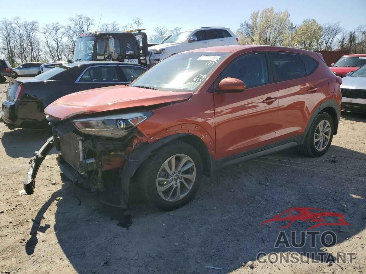 HYUNDAI TUCSON 2017 - KM8J23A46HU254605