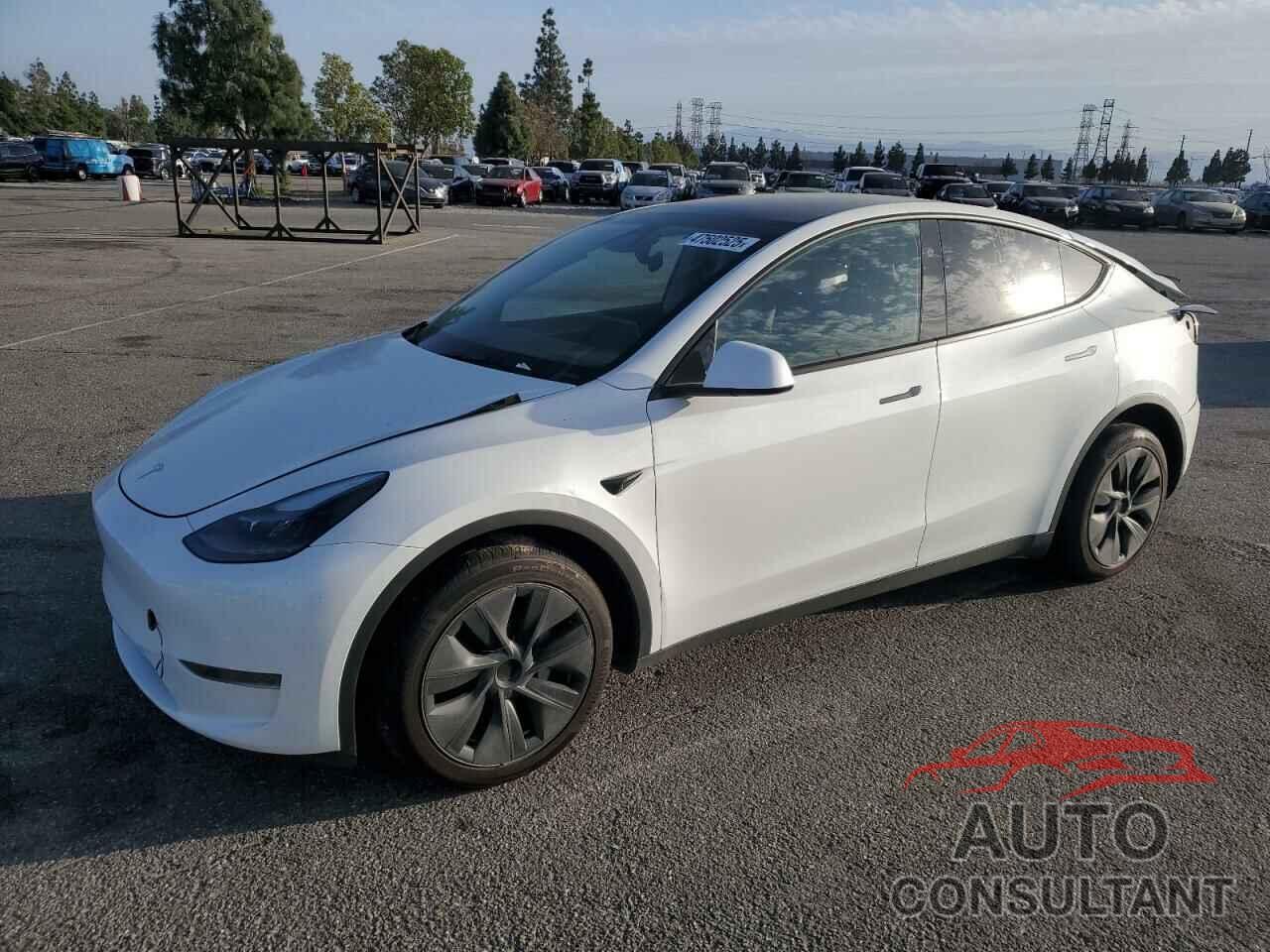 TESLA MODEL Y 2024 - 7SAYGDED6RF110635