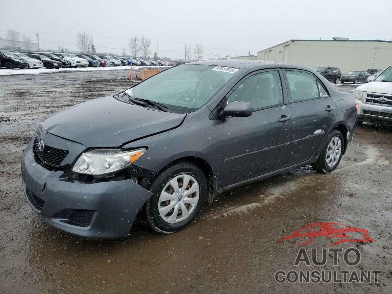 TOYOTA COROLLA 2009 - 2T1BU40E29C002075