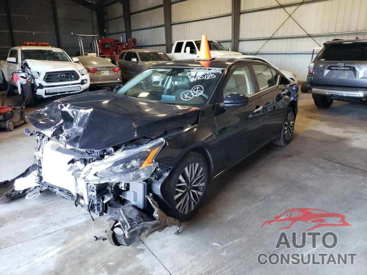 NISSAN ALTIMA 2023 - 1N4BL4DV5PN338591