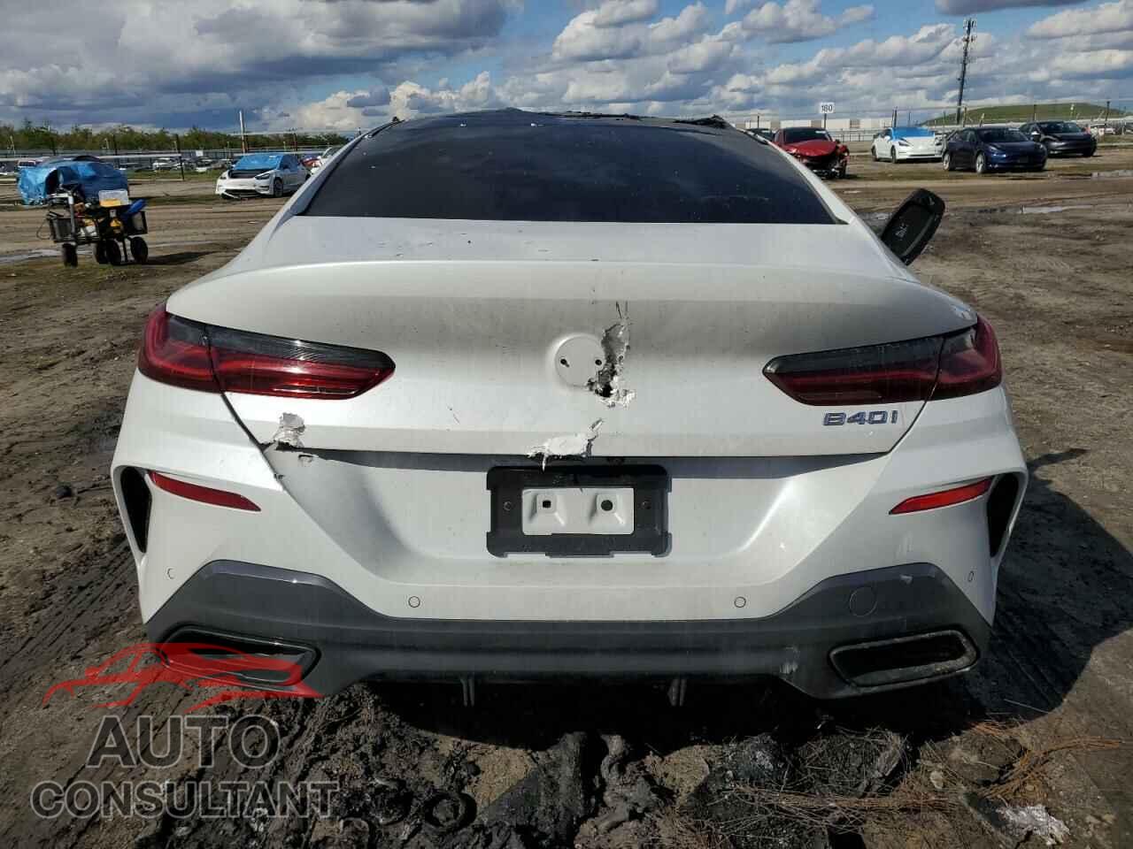 BMW 8 SERIES 2021 - WBAGV2C03MCF18891