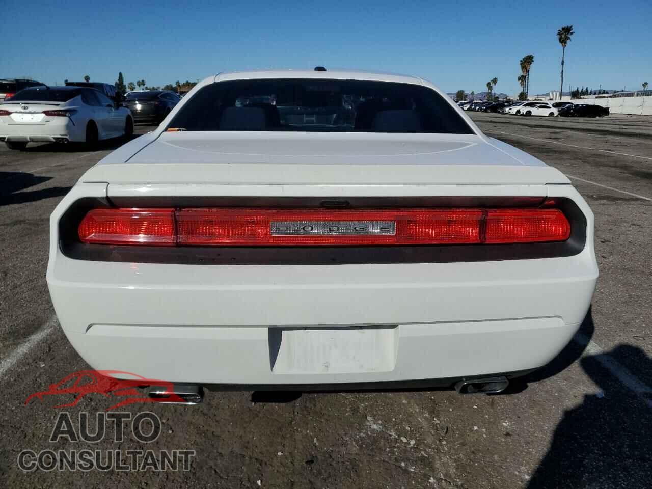 DODGE CHALLENGER 2012 - 2C3CDYBT9CH144822