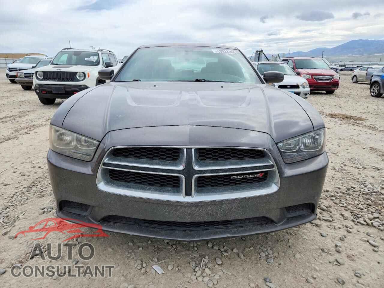 DODGE CHARGER 2014 - 2C3CDXBG2EH174616