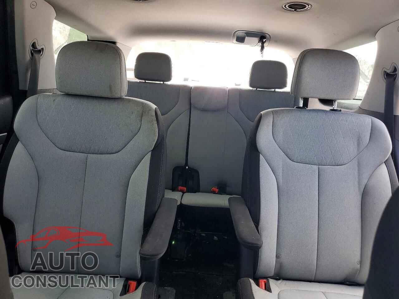 HYUNDAI PALISADE 2020 - KM8R2DHE8LU109727