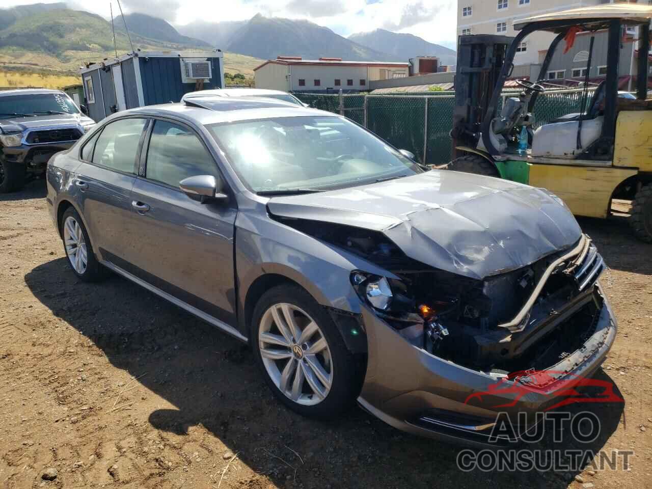 VOLKSWAGEN PASSAT 2019 - 1VWLA7A36KC007495