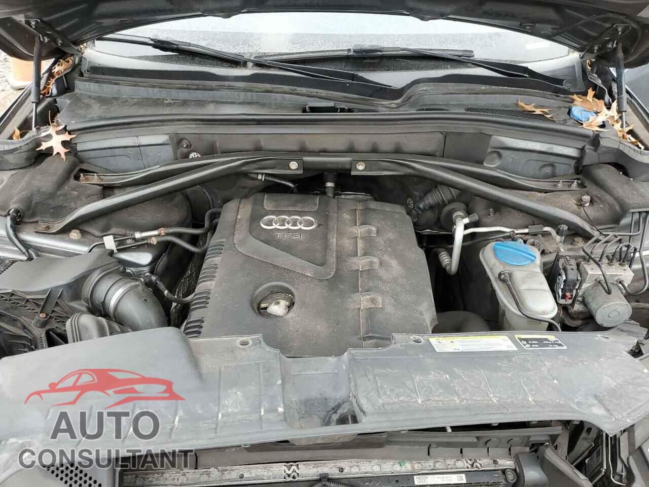 AUDI Q5 2013 - WA1CFAFP5DA007767