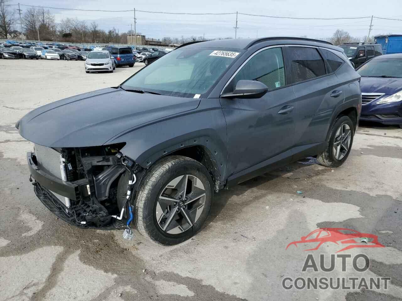 HYUNDAI TUCSON 2025 - 5NMJBCDE2SH446840