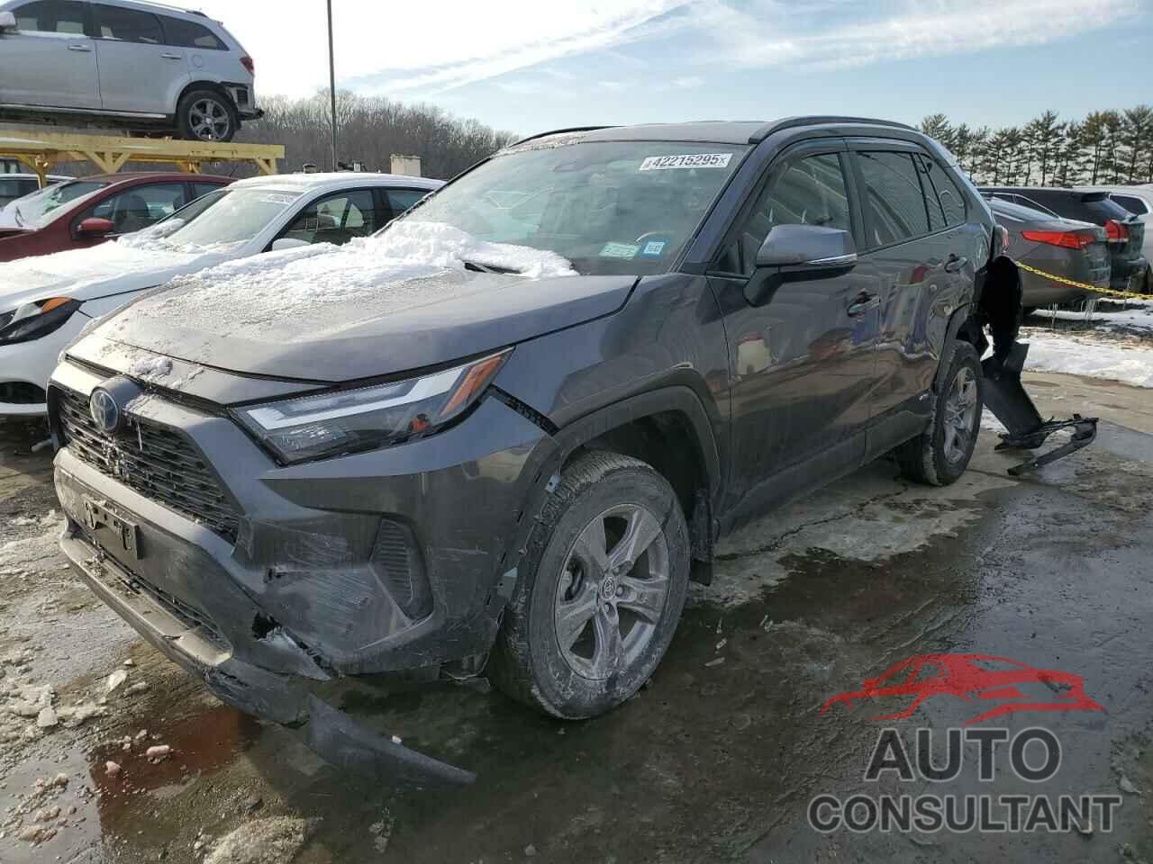 TOYOTA RAV4 2024 - 4T3MWRFVXRU125135