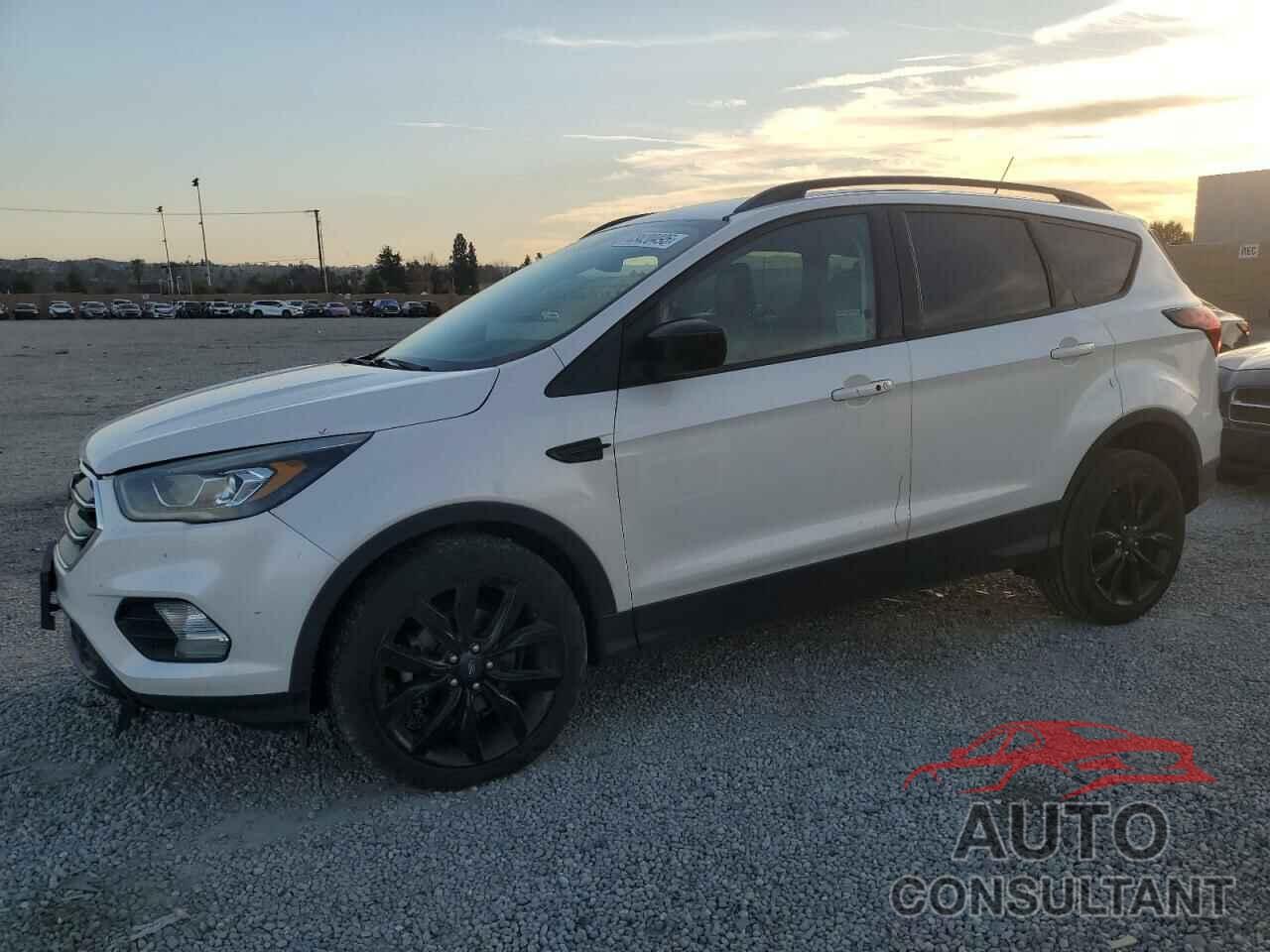 FORD ESCAPE 2019 - 1FMCU0GD7KUB08472
