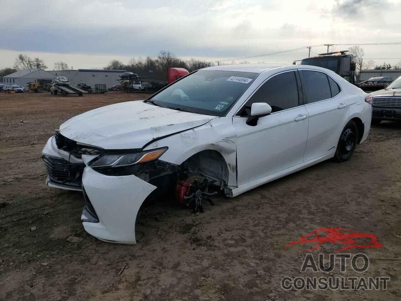 TOYOTA CAMRY 2019 - 4T1B11HK9KU241144