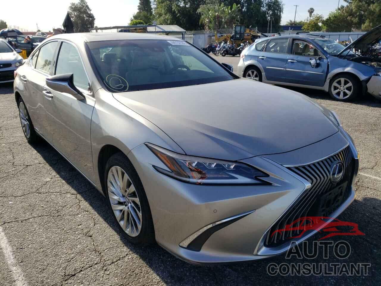 LEXUS ES300 2019 - 58AB21B12KU004095