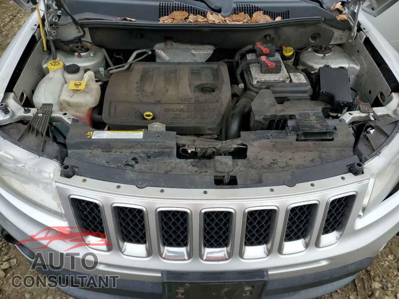 JEEP COMPASS 2011 - 1J4NF1FB4BD134888