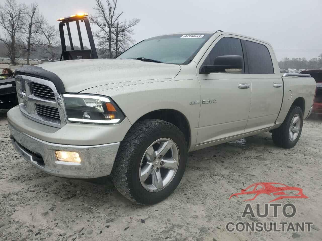 DODGE All Models 2009 - 1D3HV13T19J532453