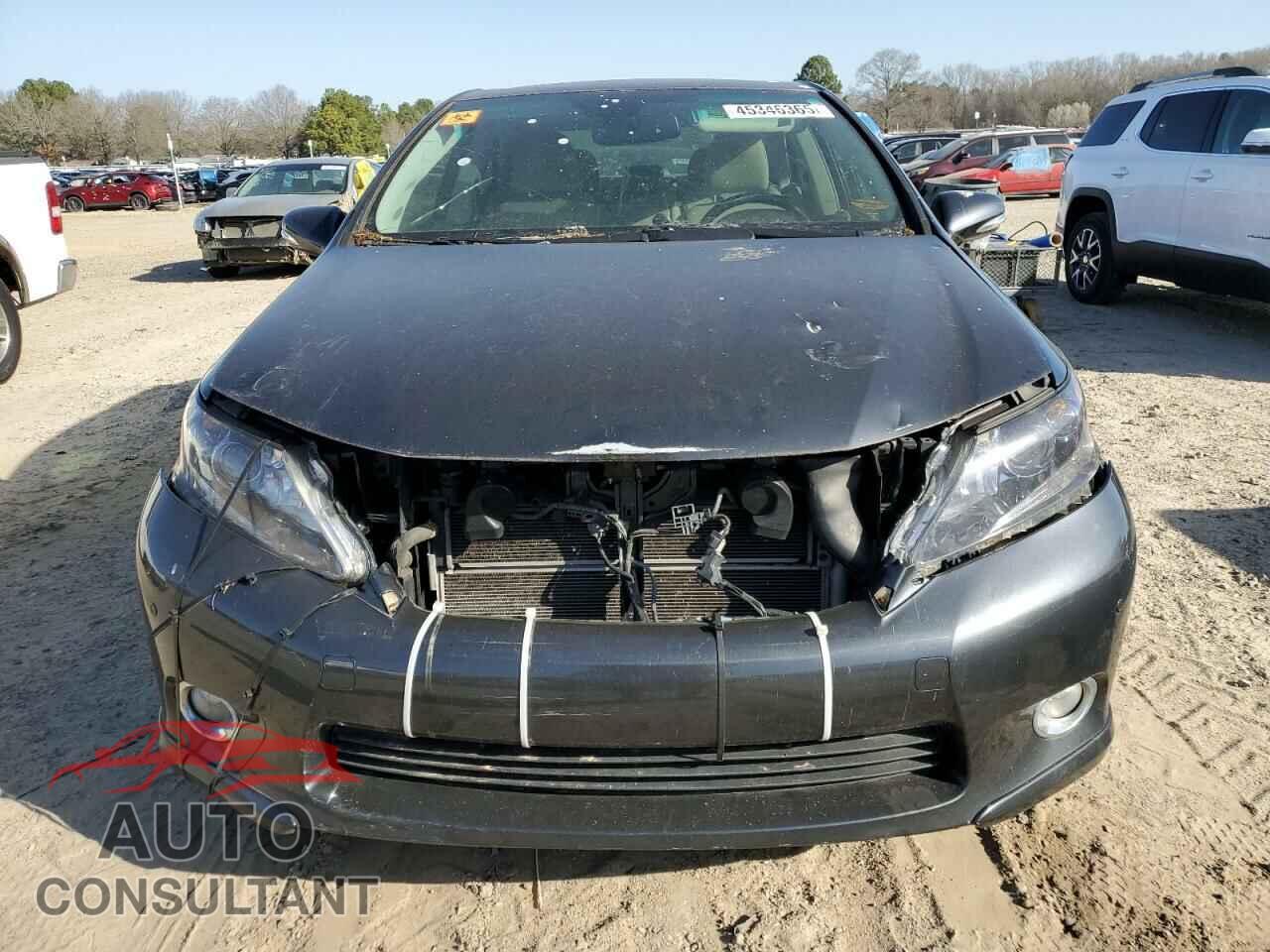 LEXUS HS 2010 - JTHBB1BA5A2016553