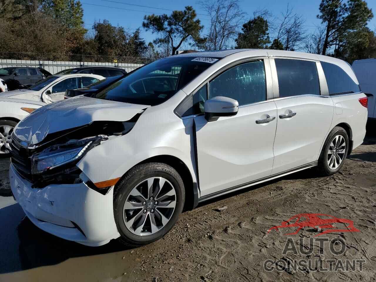 HONDA ODYSSEY 2024 - 5FNRL6H69RB070816