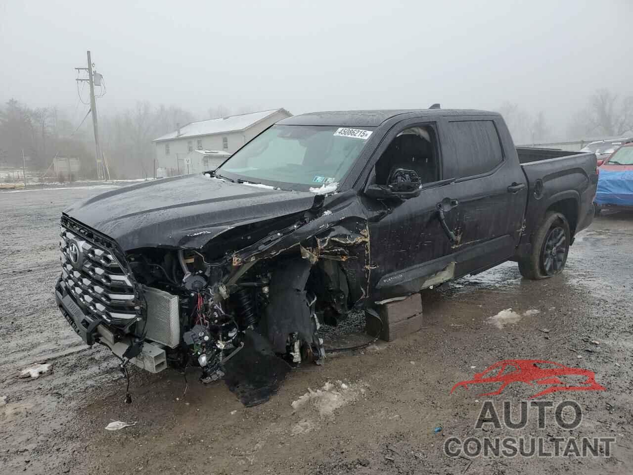 TOYOTA TUNDRA 2024 - 5TFNA5DB5RX193987