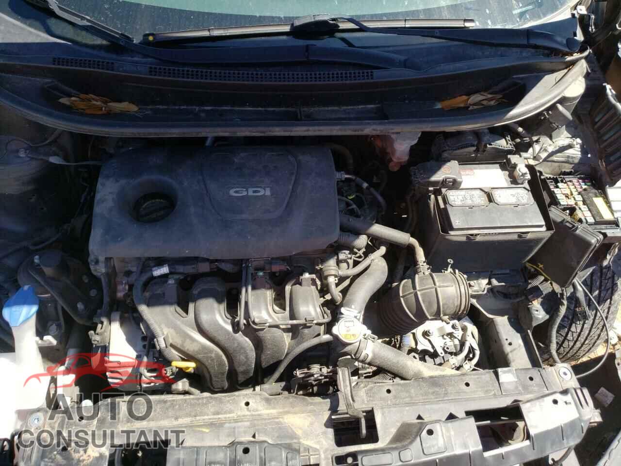 KIA RIO 2016 - KNADN4A3XG6661333