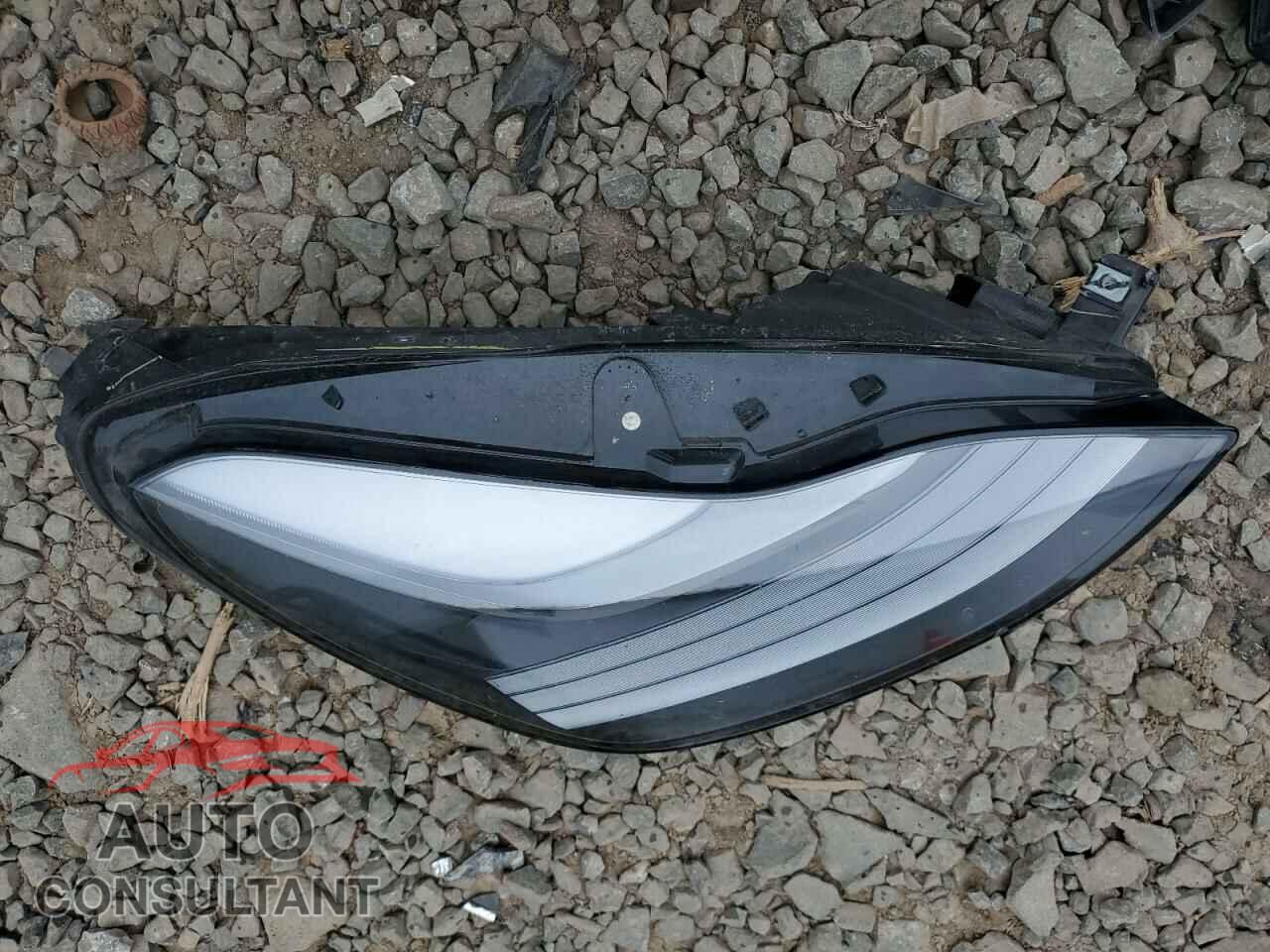 TESLA MODEL 3 2022 - 5YJ3E1EBXNF310017