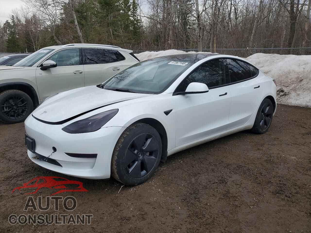 TESLA MODEL 3 2023 - LRW3E1FA0PC845232