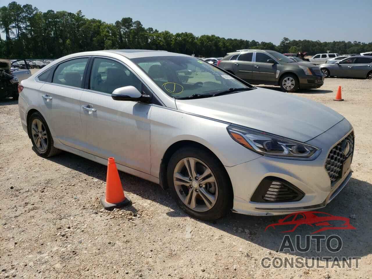 HYUNDAI SONATA 2019 - 5NPE34AF7KH814711
