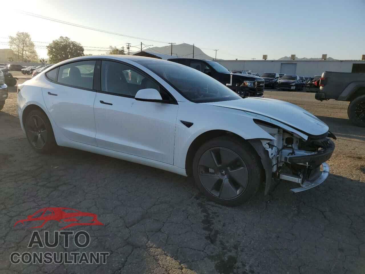TESLA MODEL 3 2021 - 5YJ3E1EA2MF021218