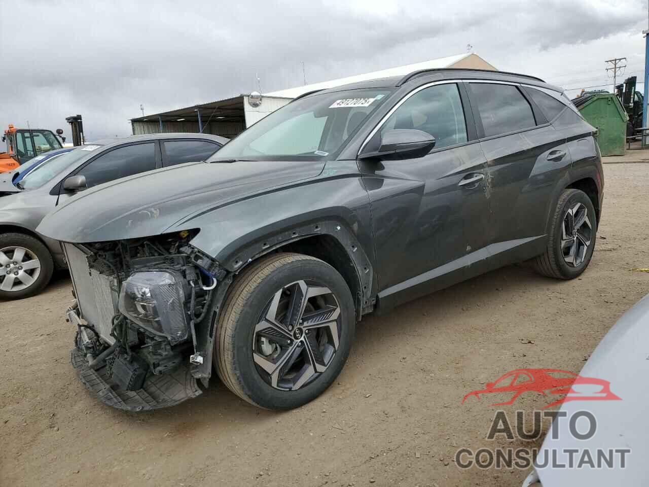 HYUNDAI TUCSON 2024 - KM8JCCD19RU139724