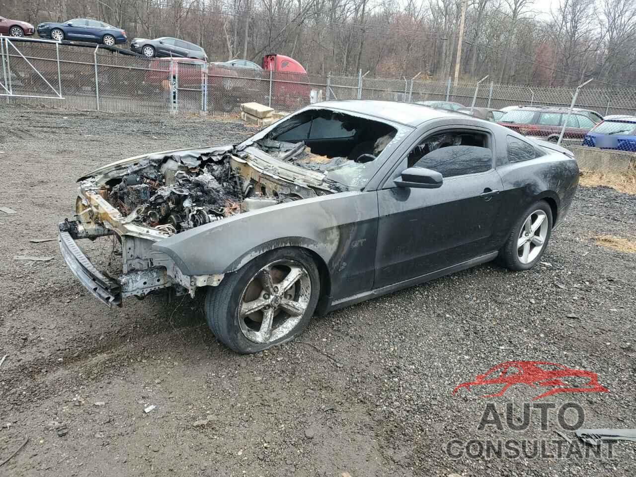 FORD MUSTANG 2010 - 1ZVBP8CH7A5112168