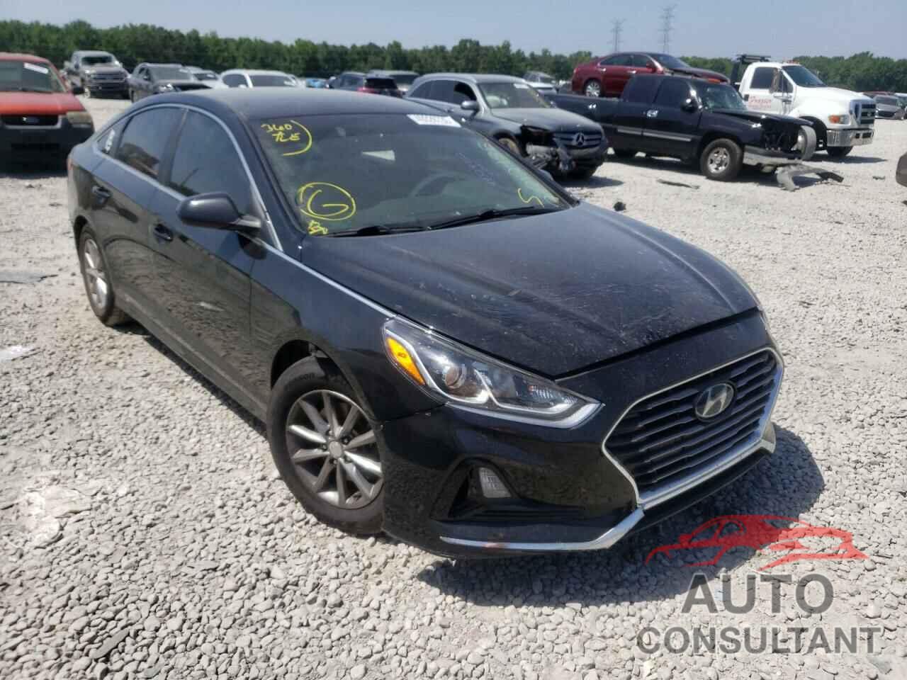 HYUNDAI SONATA 2019 - 5NPE24AFXKH765006