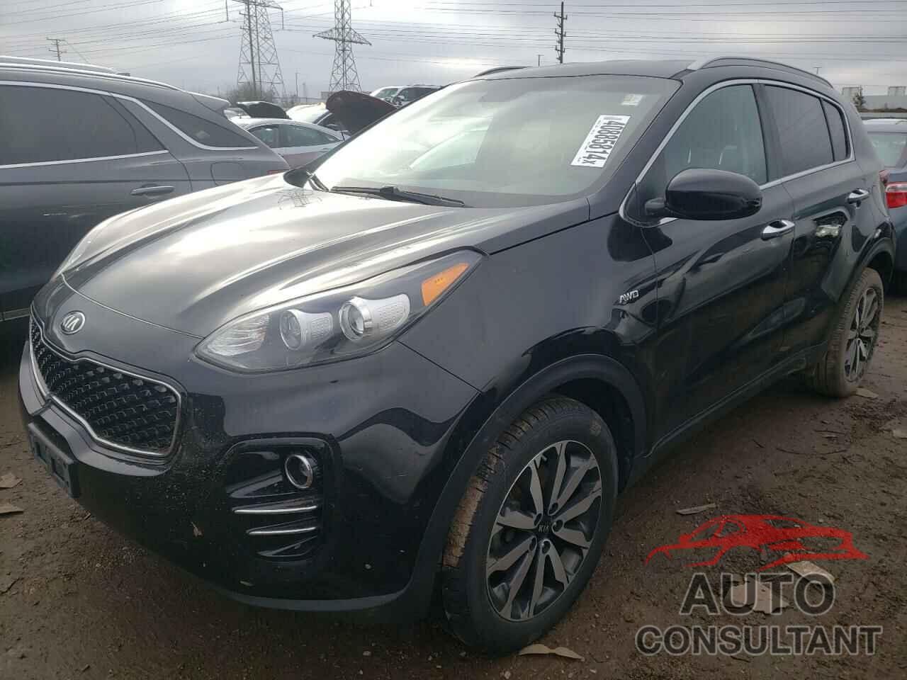 KIA SPORTAGE 2017 - KNDPNCAC5H7183697