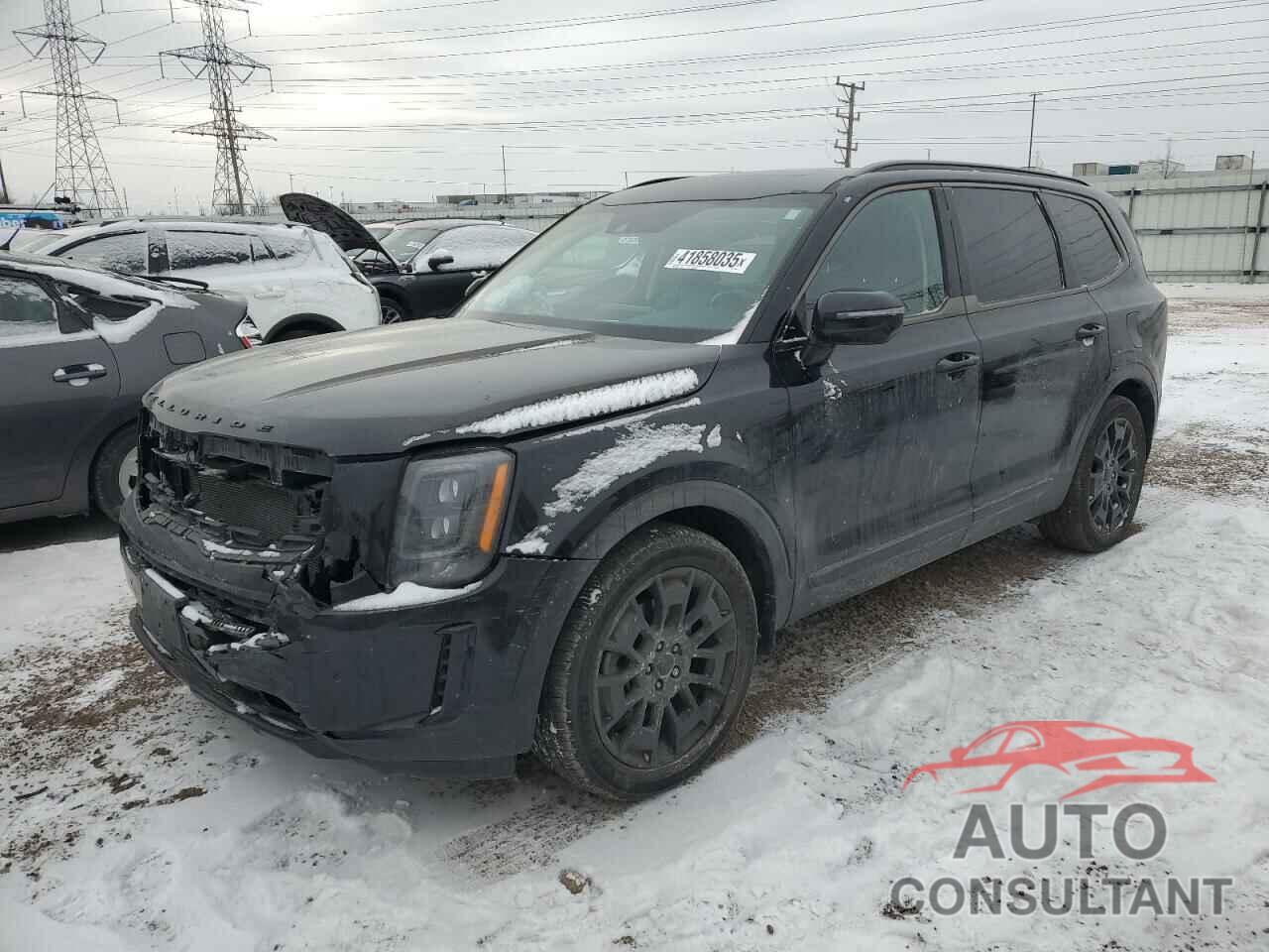 KIA TELLURIDE 2021 - 5XYP5DHCXMG104663
