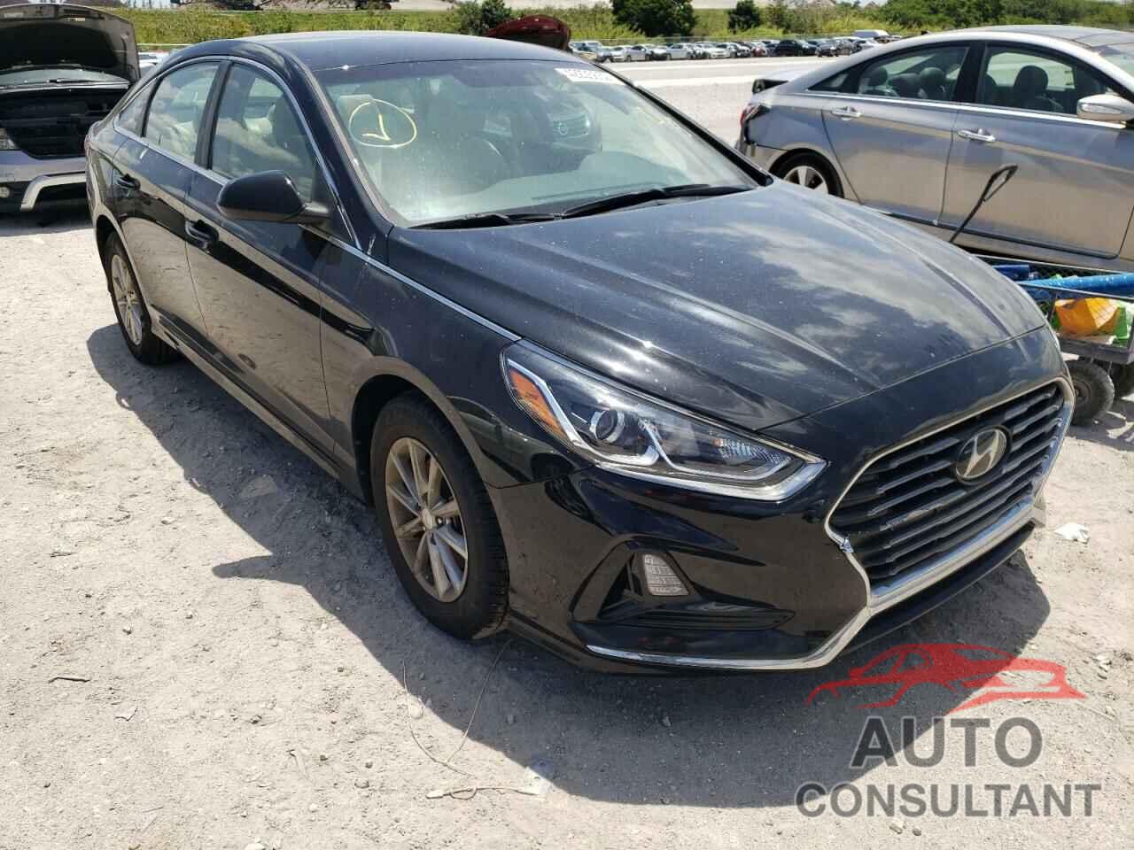 HYUNDAI SONATA 2019 - 5NPE24AF8KH780779
