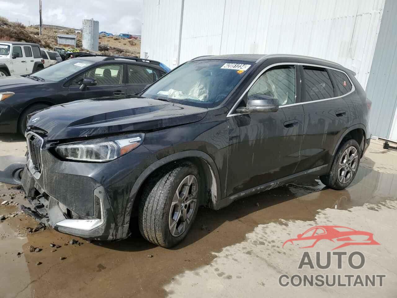 BMW X1 2023 - WBX73EF02P5W02389