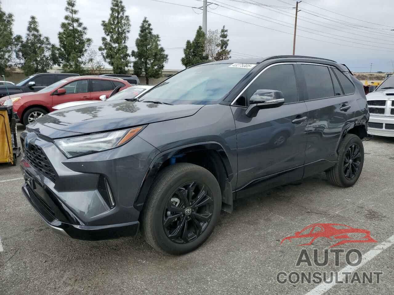 TOYOTA RAV4 2024 - 2T3E6RFV1RW067887