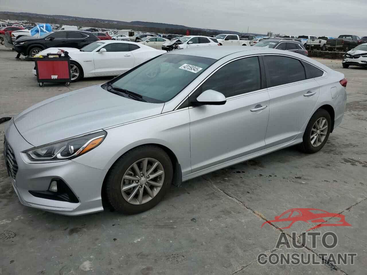 HYUNDAI SONATA 2019 - 5NPE24AFXKH797308
