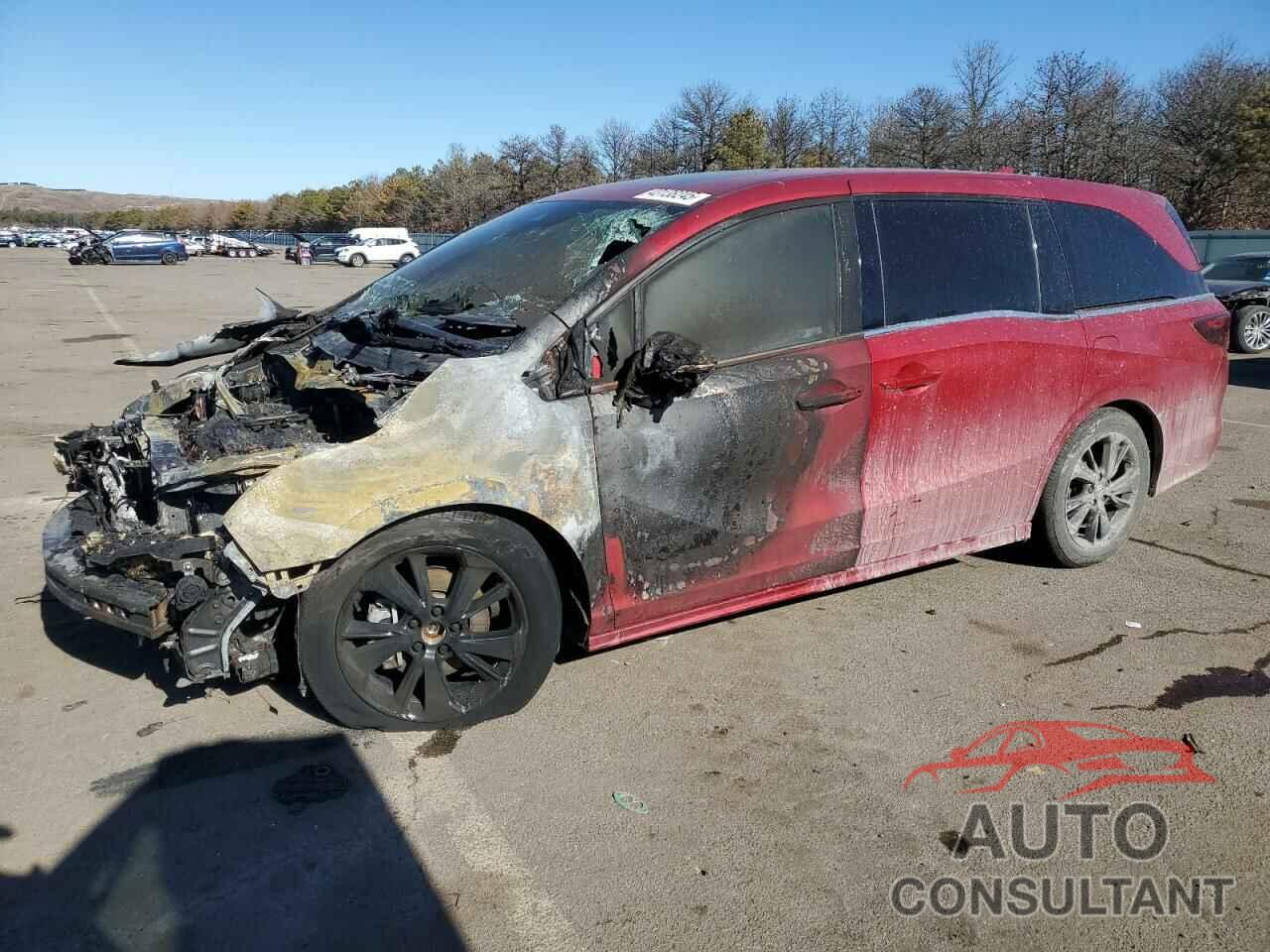 HONDA ODYSSEY SP 2023 - 5FNRL6H75PB054179