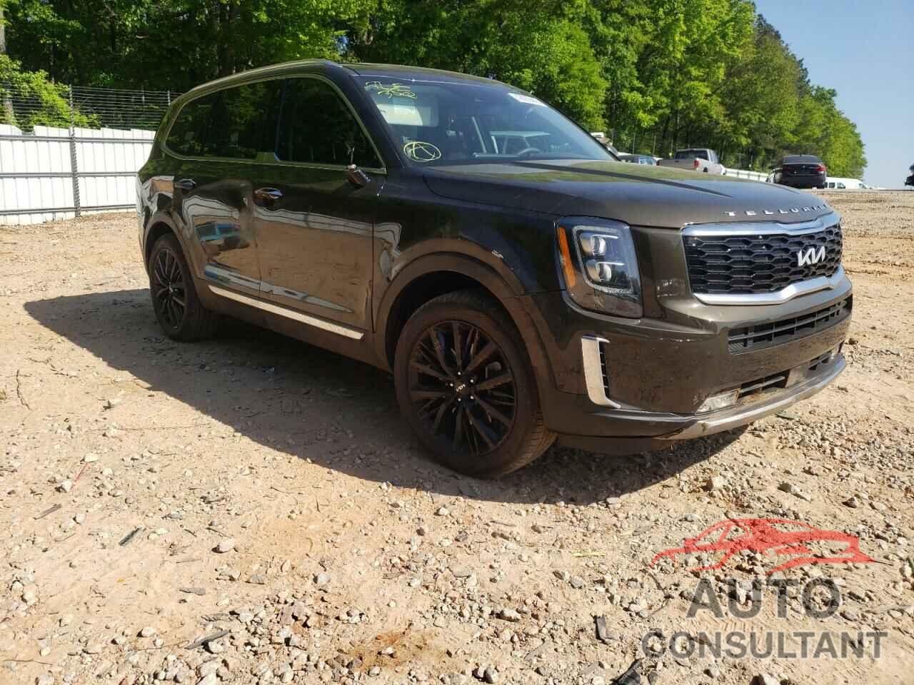 KIA TELLURIDE 2022 - 5XYP54HC5NG264161