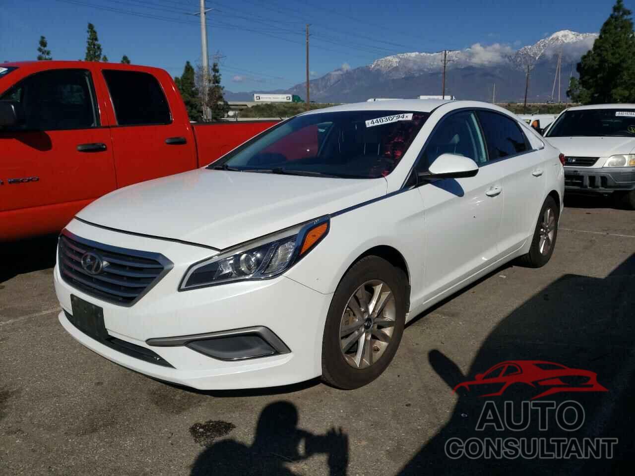 HYUNDAI SONATA 2017 - 5NPE24AF3HH556103