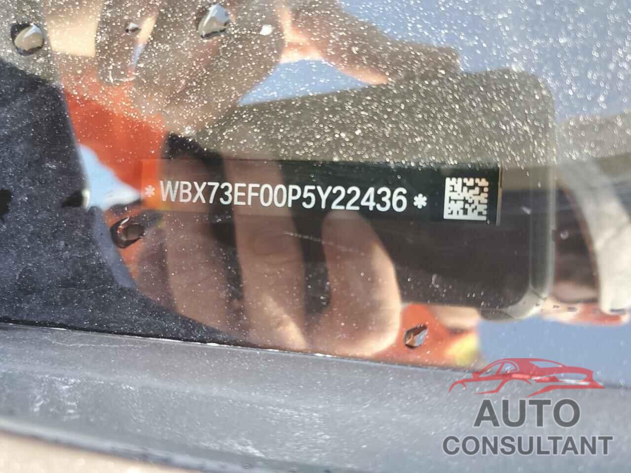 BMW X1 2023 - WBX73EF00P5Y22436