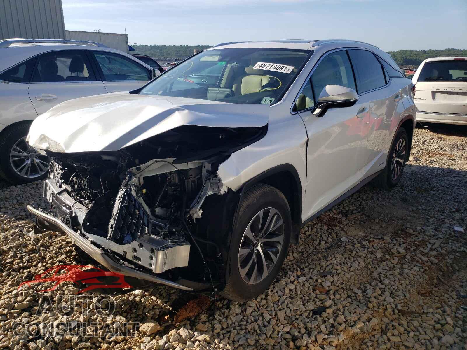 LEXUS RX450 2021 - 2T2HGMDA3MC061245