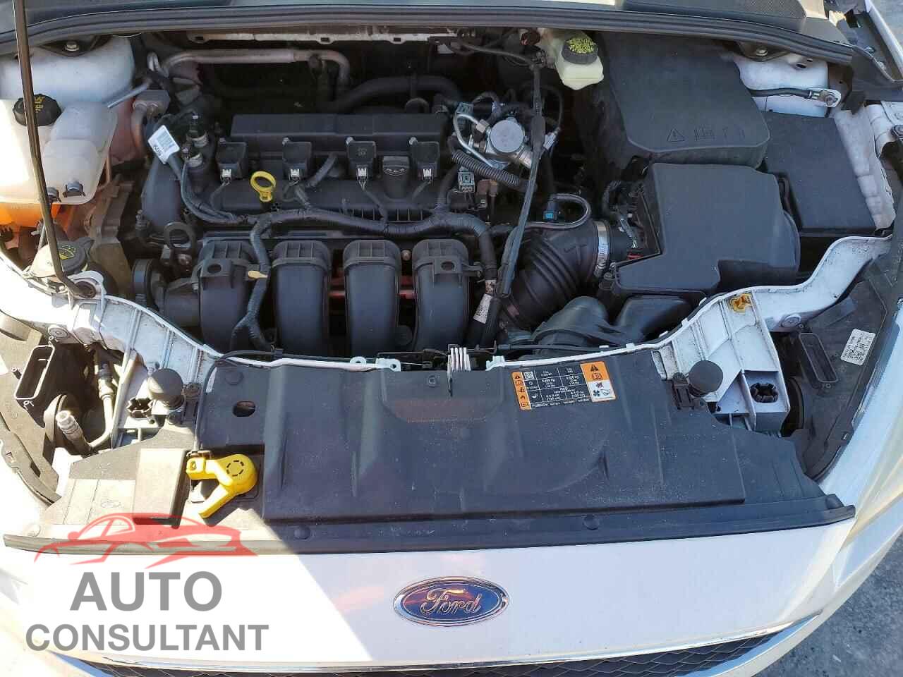 FORD FOCUS 2017 - 1FADP3F21HL237782