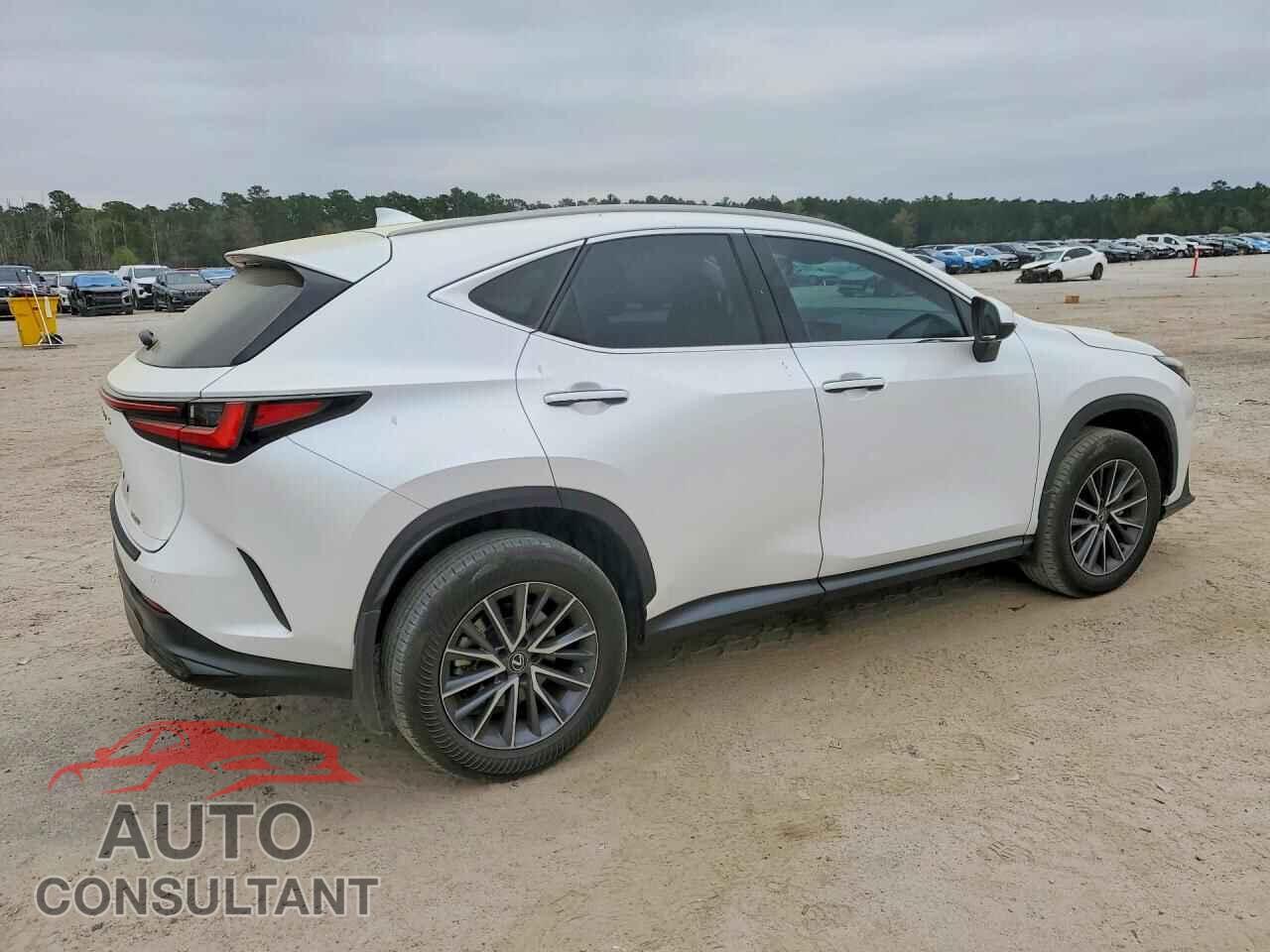 LEXUS UNKNOWN 2023 - 2T2GDCAZ9PC005596