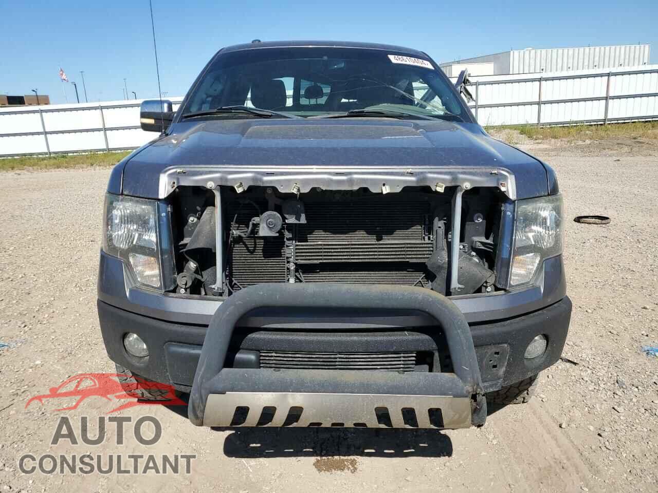 FORD F-150 2013 - 1FTFW1CF3DFD08278
