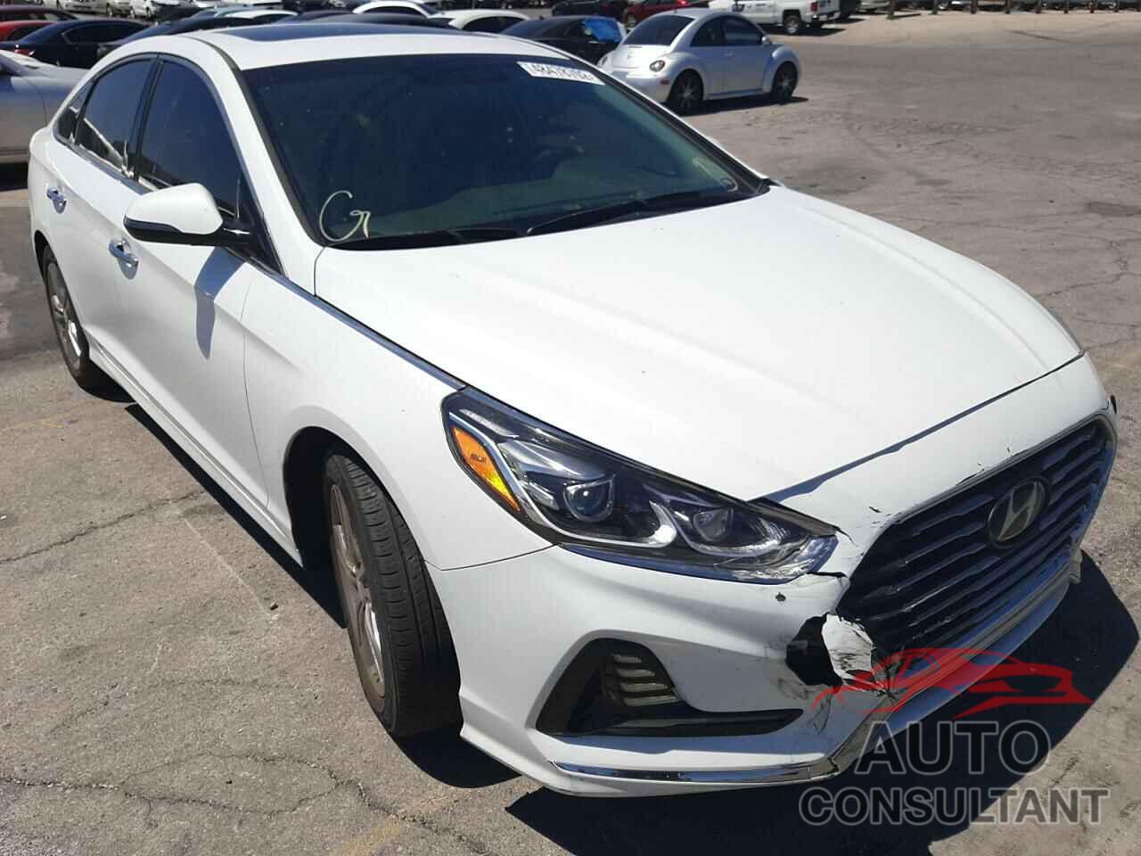 HYUNDAI SONATA 2018 - 5NPE34AF7JH600929