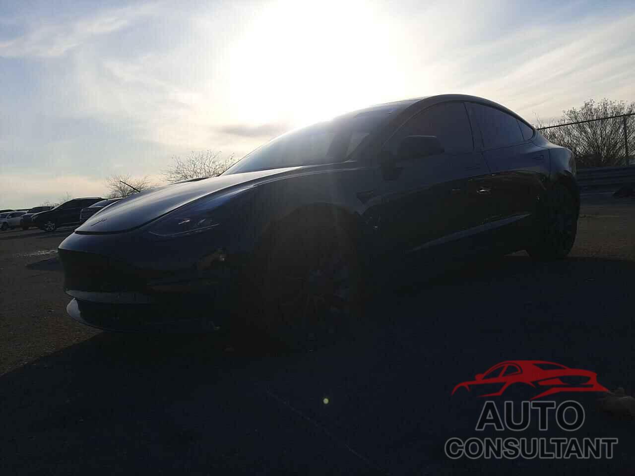 TESLA MODEL 3 2021 - 5YJ3E1EC5MF093659