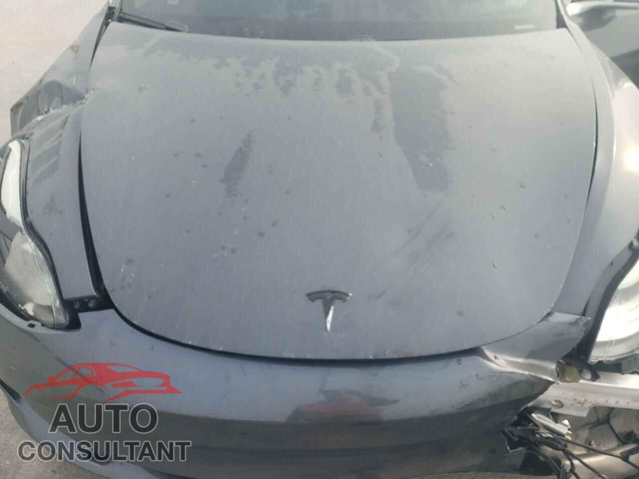 TESLA MODEL 3 2019 - 5YJ3E1EA9KF464270